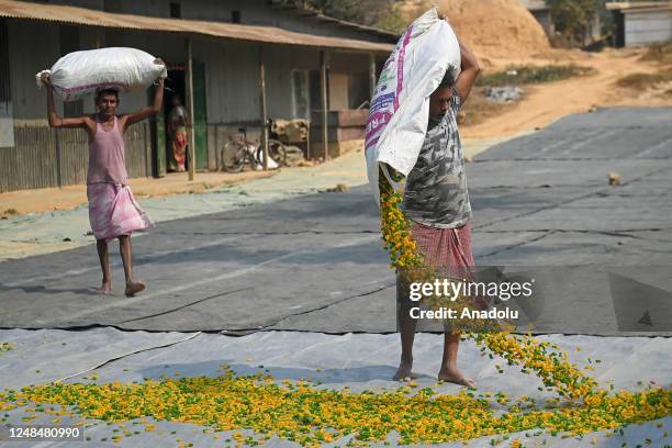 Workers lay "Finger Fryums" to dry, which is a finger shaped food made from seasoned dough, in a factory on the outskirts of Agartala, India on March...