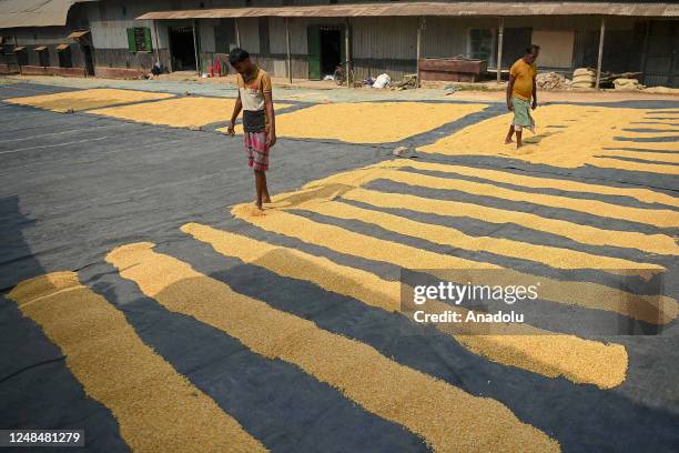 Workers lay "Finger Fryums" to dry, which is a finger shaped food made from seasoned dough, in a factory on the outskirts of Agartala, India on March...