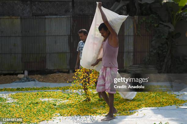 Worker lays "Finger Fryums" to dry, which is a finger shaped food made from seasoned dough, in a factory on the outskirts of Agartala, India on March...