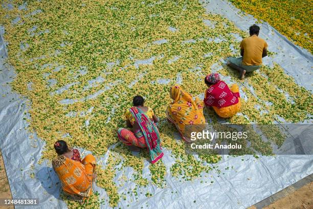 Workers lay "Finger Fryums" to dry, which is a finger shaped food made from seasoned dough, in a factory on the outskirts of Agartala, India on March...