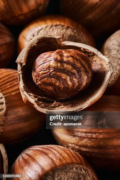 Hazelnut Open Key Hazelnut Balls Photos and Premium High Res Pictures - Getty Images