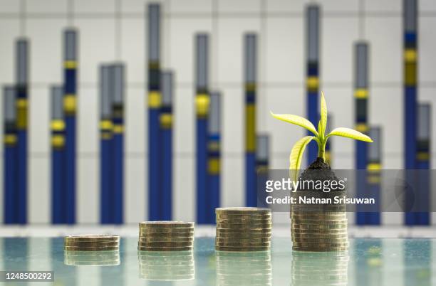 tree growing on stacks of coins. - esg stock pictures, royalty-free photos & images