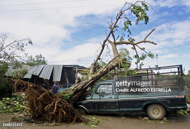 Car is crushed by a tree after hurricane Kenna passed through San Blas Nayarit located on the Pacific coast of Mexico, 26 October 2002. Hurricane...