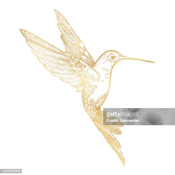 stockillustraties, clipart, cartoons en iconen met gouden bij kolibrie geïsoleerd. handgeschilderd clip art design element. - kolibrie