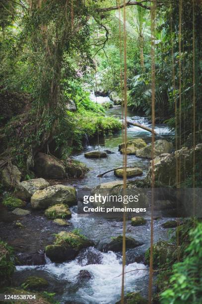 nature background jungle waterfall cascade in tropical rainforest.  waterfall in jungle ,bali ,indonesia - bali waterfall stock pictures, royalty-free photos & images