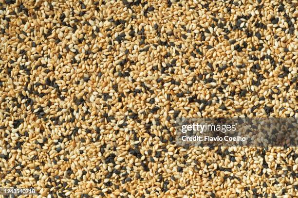 mixed sesame seeds background - sesame oil stock pictures, royalty-free photos & images