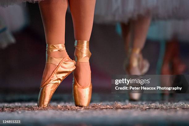 feet wearing ballet shoe - fort collins stockfoto's en -beelden