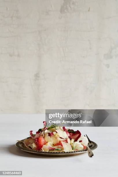 fennel grapefruit endive salad - aperitivo plato de comida fotografías e imágenes de stock