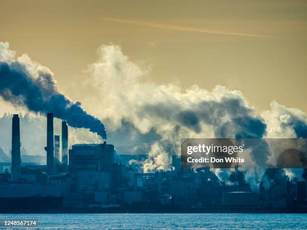 vancouver island columbia británica - ambiente atmosférico fotografías e imágenes de stock