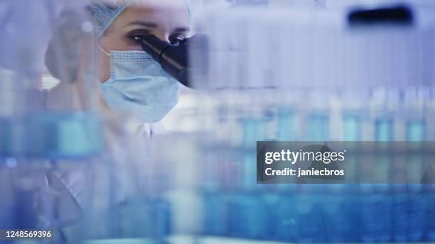 trabajar con sustancia biopeligrosa. mujer usando microscopio. mirando a través de cristalería - microbiologist fotografías e imágenes de stock