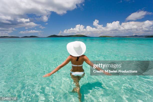 relaxing-tropics - virgin islands stock pictures, royalty-free photos & images