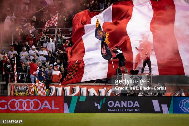 Fans react and celebrate the goal by Luquinhas of New York Red Bulls in the second half of the Major League Soccer match against Columbus Crew at Red...