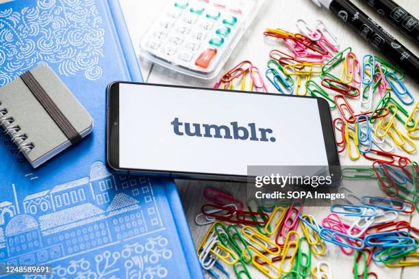 In this photo illustration a Tumblr logo seen displayed on a smartphone.