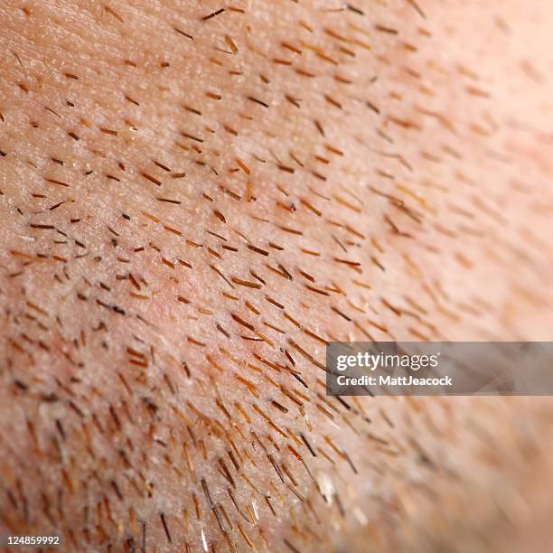 Stubble Examples Stubble Close Up Photos and Premium High Res Pictures - Getty Images