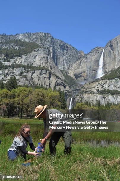 Jessica Bushell 132 Bushell Park Stock Photos, High-Res Pictures, and Images - Getty Images