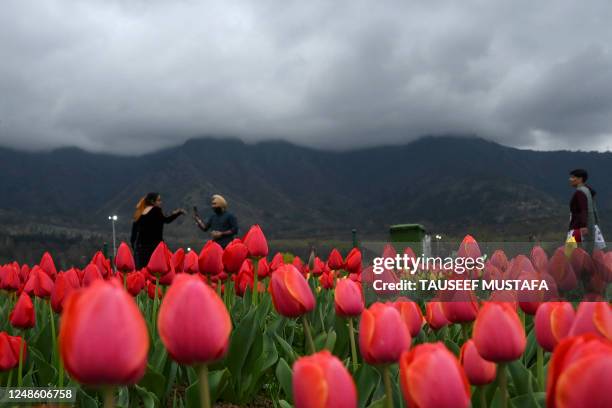 People walk past tulip flowers during the inauguration of the Tulip garden in Srinagar on March 19, 2023.