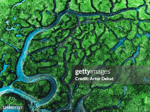 Beautiful aerial view of meander river with affluents and green vegetation. Beautiful aerial view of meander river with affluents and green vegetation.