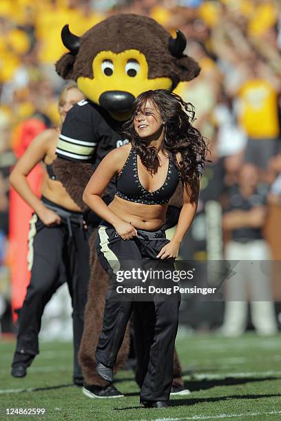 Chip, the mascot of the Colorado Buffaloes, performs with the CU express dance team during a break in the action against the California Golden Bears...