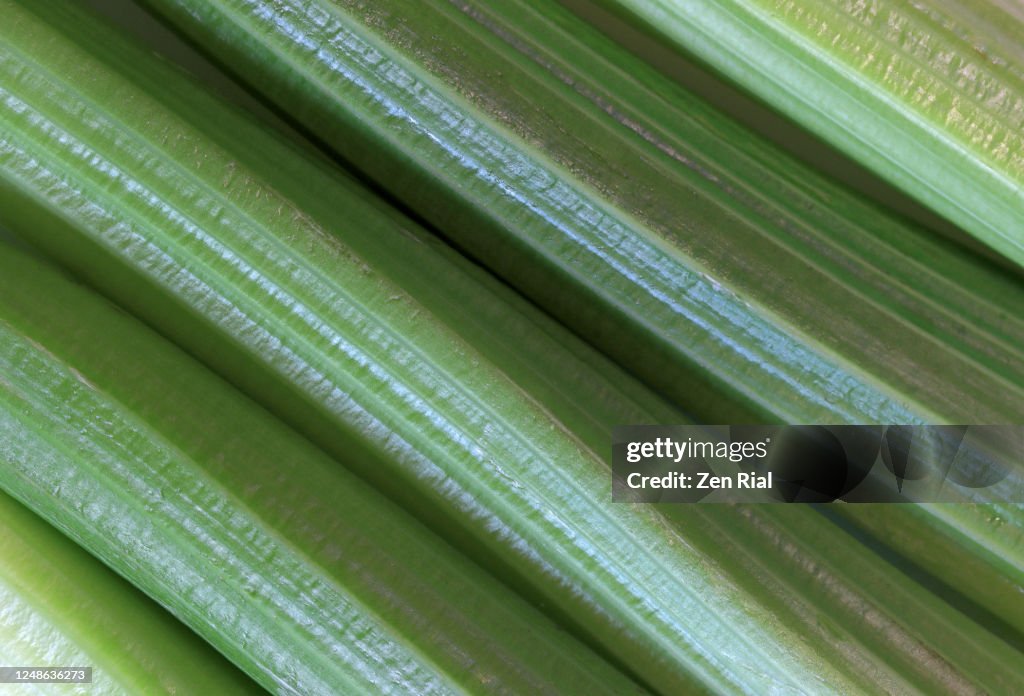 Close-up of Celery stalks side by side creating abstract image