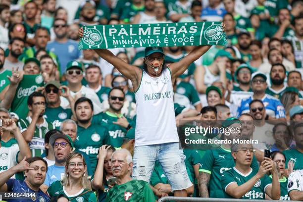 Fan of Palmeiras cheers on his team during a match between Palmeiras and Ituano as part of Semi-finals of Campeonato Paulista at Allianz Parque on...