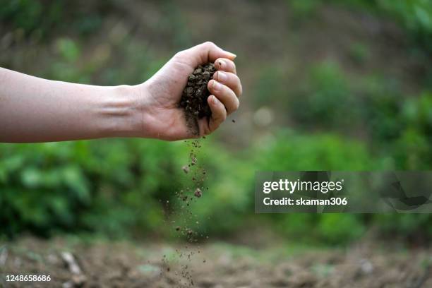 hand holding dry soil with craked soil surface background - bodenprobe stock-fotos und bilder
