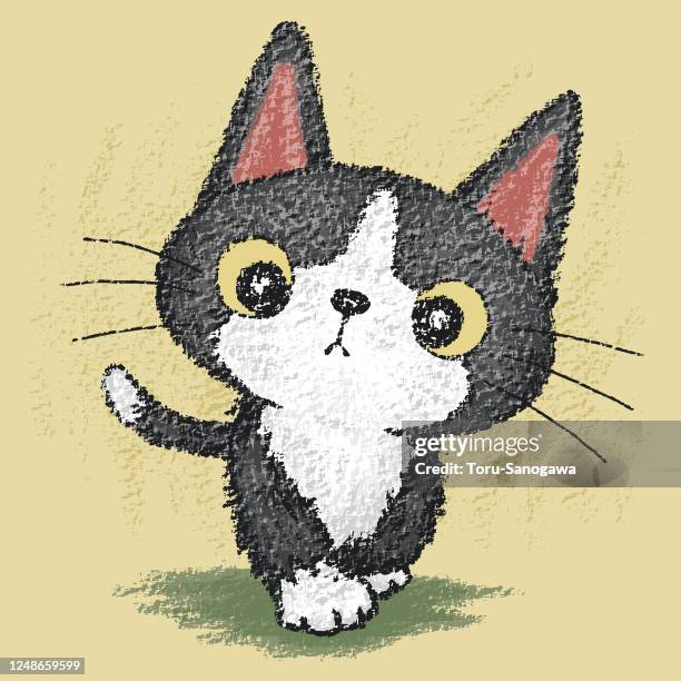 black kitten walking - cat walking stock illustrations