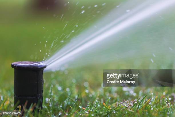 close-up of a pop-up sprinkler spray head. - desperdício de água imagens e fotografias de stock