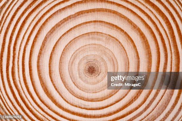 1,994 Tree Rings Texture Stock Photos, High-Res Pictures, and Images ...