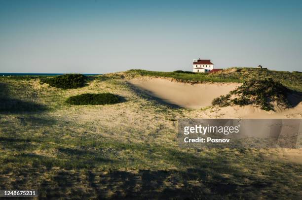 dunes of cape cod - cape cod bildbanksfoton och bilder