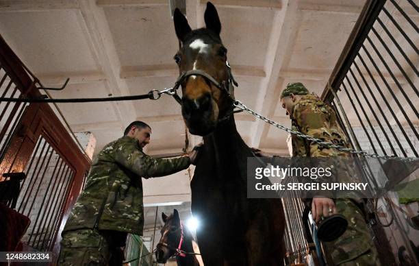 Ukrainian servicemen clean a horse during a hippotherapy session in Kyiv on March 17, 2023. - In a cosy barn on the outskirts of Kyiv, a group of...