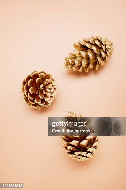 still life of gold colored fir cones on brown background - koniferenzapfen stock-fotos und bilder