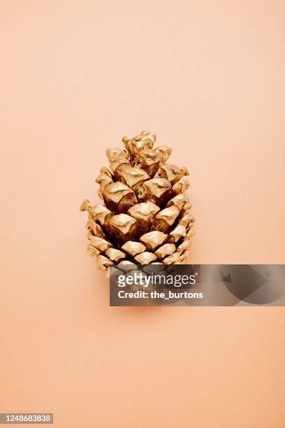 still life of gold colored fir cone on brown background - pinecone bildbanksfoton och bilder