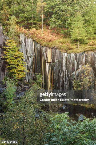 Mount Elliott Mine Photos and Premium High Res Pictures Getty Images Mount Elliott Mine Photos and Premium High Res Pictures Getty Images