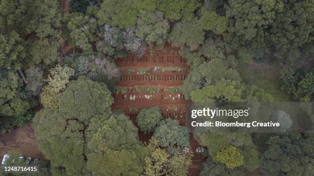 open graves in a cemetery - mass grave 個照片及圖片檔