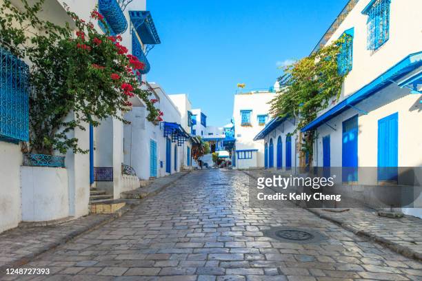 street in beautiful sidi bou said - tunesië stockfoto's en -beelden