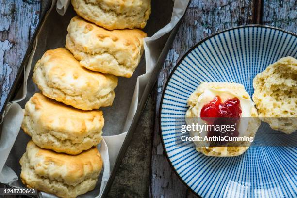 sahnetee mit frisch gebackener scones clotted cream und marmelade - englische tea time stock-fotos und bilder