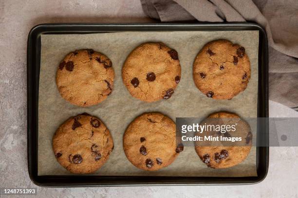 high angle close up of baking tray with freshly baked chocolate chip cookies. - baking tray stock pictures, royalty-free photos & images