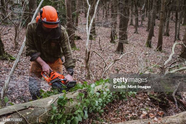 man wearing safety gear using chainsaw to fell tree in a forest. - sawing stock pictures, royalty-free photos & images