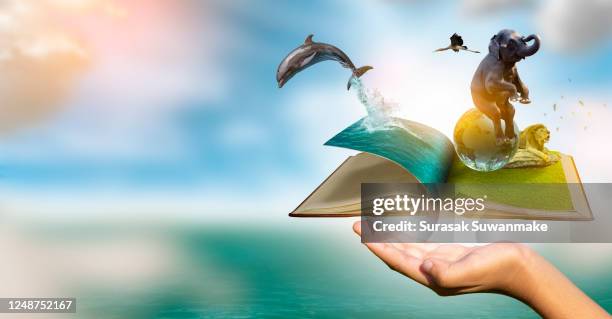 developing imagination for literacy in the book world with dolphins and clear skies concepts of education and reading imagination development - animal win fotografías e imágenes de stock