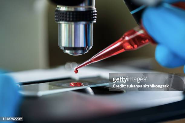 female scientist in lab - science equipment stock pictures, royalty-free photos & images