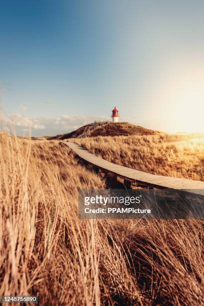 lighthouse in the dunes - german north sea region stock pictures, royalty-free photos & images