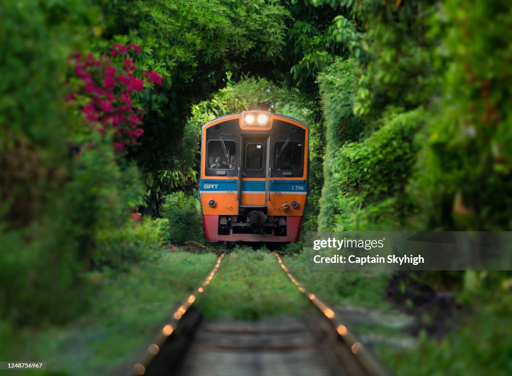 Train