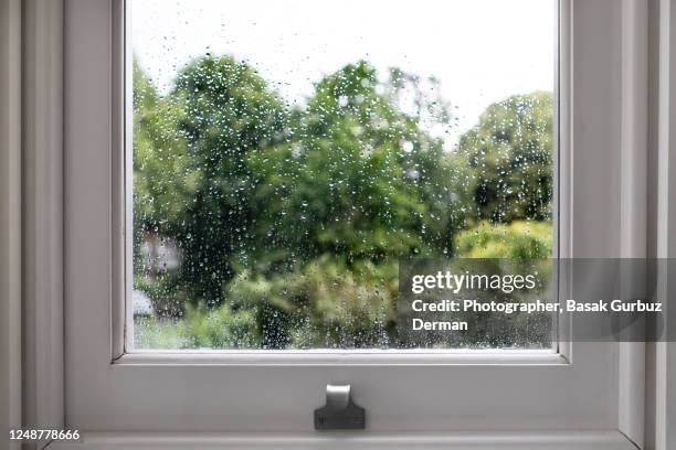 rainy day, raindrops on the window glass. trees on the background. - window rain stock-fotos und bilder