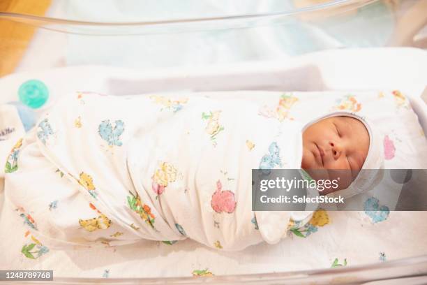 new born baby at hospital - hospital cot stock pictures, royalty-free photos & images