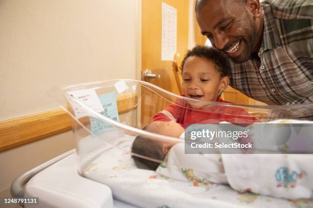 father and son admiring their newborn baby brother - sibling hospital stock pictures, royalty-free photos & images