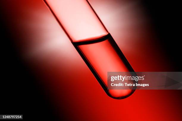 close-up of blood sample - red tube stock-fotos und bilder