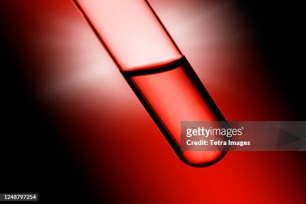 close-up of blood sample - red tube stock pictures, royalty-free photos & images