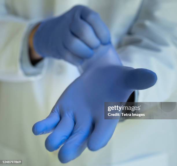 close-up of doctor putting on blue latex gloves - latex 個照片及圖片檔