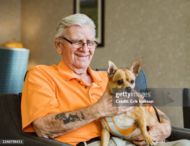 senior man holding service dog - service animal stock pictures, royalty-free photos & images