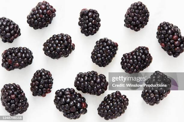 blackberries on white background - bramen stockfoto's en -beelden